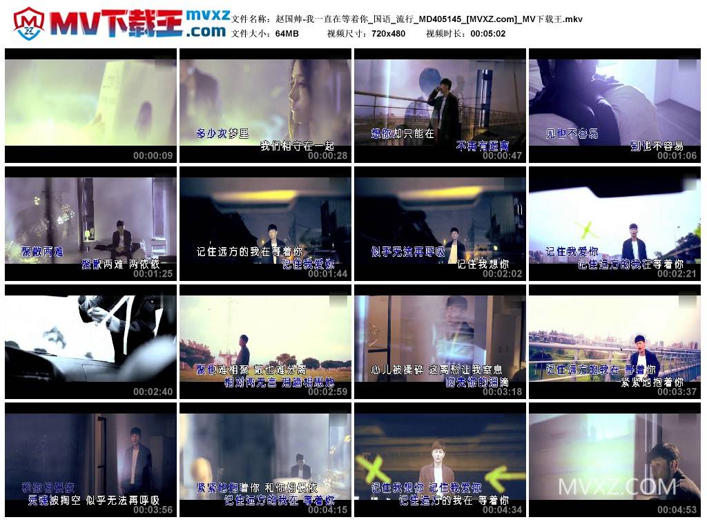 赵国帅-我一直在等着你_国语_流行_MD405145